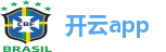 开云APP-开云中国官网-开云正版应用下载KAIYUUN GROUP